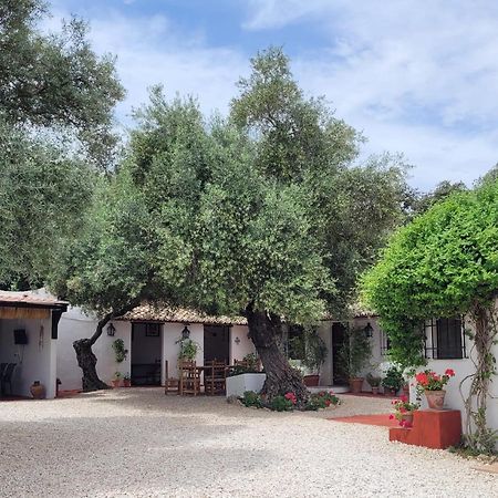 Casa Abanto Villa Ronda Luaran gambar