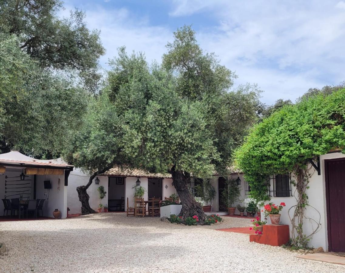 Casa Abanto Villa Ronda Luaran gambar