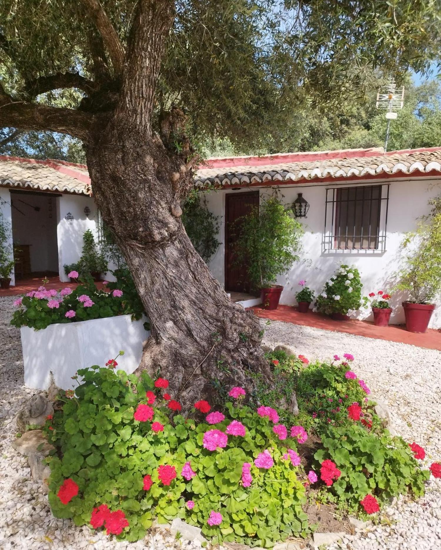 Casa Abanto Villa Ronda Luaran gambar