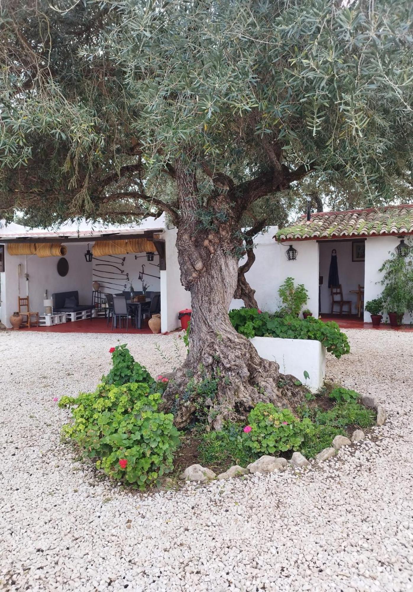 Casa Abanto Villa Ronda Luaran gambar